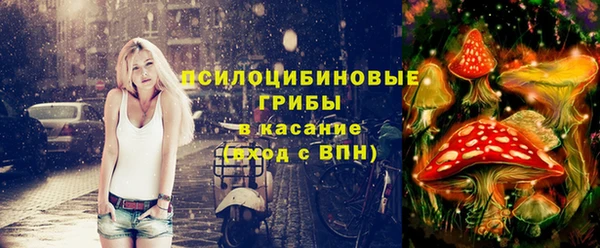 трава Беломорск