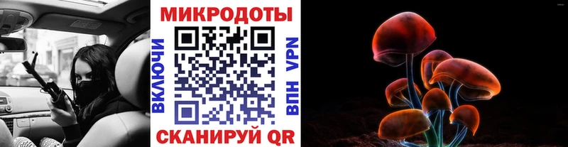 дарнет шоп Ахтырский Галлюциногенные грибы Psilocybine cubensis