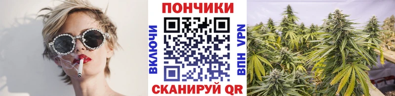 Канабис конопля  Ахтырский 